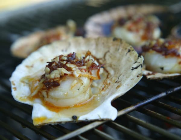 anz600_Grilled Scallops with XO Sauce